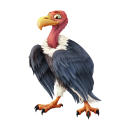 Geier Tier Aufkleber – wetterfester...