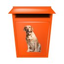 Labrador Tier Aufkleber – wetterfester Hunde-Sticker von Kleberio