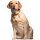 Aufkleber Golden Retriever wasserfest Familie Aufkleber Labrador Goldie Welpe Tier Sticker Deko Autoaufkleber
