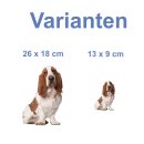 Tier Aufkleber Basset Hound – wetterfester...