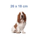 Tier Aufkleber Basset Hound – wetterfester Hundesticker von Kleberio (26 x 18 cm)