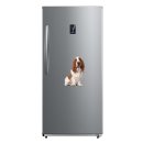 Tier Aufkleber Basset Hound – wetterfester Hundesticker von Kleberio (26 x 18 cm)