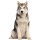 Aufkleber Husky wasserfest Familie Aufkleber Alaska Welpe Schlitten Tier Sticker Deko Autoaufkleber