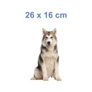 Husky Aufkleber – wetterfester Tier-Sticker für Auto, Fenster & mehr (26 x 16 cm)