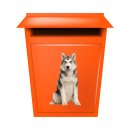Husky Aufkleber – wetterfester Tier-Sticker für Auto, Fenster & mehr (26 x 16 cm)
