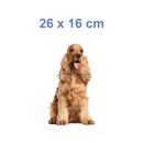 Tier Aufkleber – Cocker Spaniel Hund wetterfest & UV-beständig von Kleberio (26 x 16 cm)