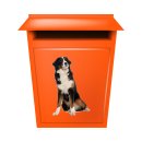 Tier Aufkleber – Berner Sennenhund Sticker, wetterfest & UV-beständig