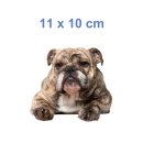 Tier Aufkleber Bulldogge – wetterfester Hundesticker für Auto & Fenster (11 x 10 cm)