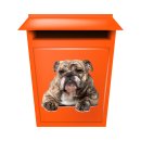 Tier Aufkleber Bulldogge – wetterfester Hundesticker für Auto & Fenster (11 x 10 cm)