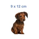 Tier Aufkleber Dackel – wetterfester Hundesticker für Auto & Fenster (9 x 12 cm)
