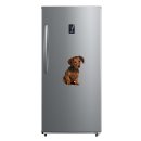 Tier Aufkleber Dackel – wetterfester Hundesticker für Auto & Fenster (9 x 12 cm)