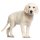 Aufkleber Golden Retriever wasserfest Familie Aufkleber Labrador Jagdhund Welpe Tier Sticker Deko Autoaufkleber
