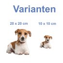 Tier Aufkleber – Jack Russell Hund wetterfest &...