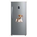 Tier Aufkleber – Jack Russell Hund wetterfest & UV-beständig von Kleberio