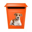 Tier Aufkleber – Jack Russell Hund wetterfest & UV-beständig von Kleberio (10 x 10 cm)