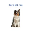 Tier Aufkleber – Australian Shepherd Hund wetterfest & UV-beständig (14 x 23 cm)