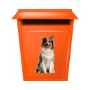 Tier Aufkleber – Australian Shepherd Hund wetterfest & UV-beständig (14 x 23 cm)