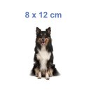 Tier Aufkleber Collie – wetterfester Hundesticker für Auto & Fenster (8 x 12 cm)