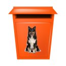 Tier Aufkleber Collie – wetterfester Hundesticker für Auto & Fenster (8 x 12 cm)