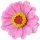 Aufkleber Sticker Zinnie rosa gelb Blume selbstklebend Autoaufkleber Blumenwiese Album Dekoration Set Car Caravan Wohnwagen wetterfest
