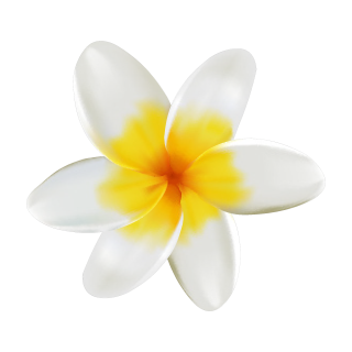 Gelbe Frangipani Aufkleber – wetterfeste Blüten-Sticker für Innen und Außen