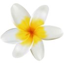 Aufkleber Sticker Frangipani gelb weiß Blume...