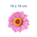 Rosa-gelbe Zinnie Aufkleber – wetterfester Blumenschmuck (10 x 10 cm)