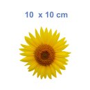 Gelbe Sonnenblume Aufkleber – Wetterfester Blumenschmuck für Fenster & Co. (10  x 10 cm)