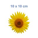 Rosa Pfingstrose Aufkleber – Wetterfester Blumensticker von Kleberio (10 x 10 cm)