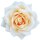 Aufkleber Sticker Kulturrose weiß Blume selbstklebend Autoaufkleber Blumenwiese Album Dekoration Set Car Caravan Wohnwagen wetterfest
