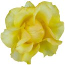 Aufkleber Sticker gelbe Rose Blume selbstklebend...