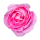 Pinke Rose Aufkleber – Wetterfester Blüten-Sticker in Zwei Größen