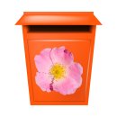 Pinke Hundsrose Aufkleber – Wetterfeste Blütensticker für Fenster & Mehr