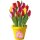 Aufkleber Sticker Hundsrose Blume selbstklebend Autoaufkleber Blumenwiese Album Dekoration Set Car Caravan Wohnwagen wetterfest