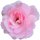 Aufkleber Sticker Rosa Damast-Rose Blume selbstklebend Autoaufkleber Blumenwiese Album Dekoration Set Car Caravan Wohnwagen wetterfest