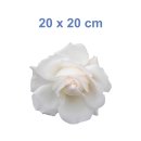 Weiße Rose Aufkleber – Elegante Blüten-Deko für Fenster & Co. (20 x 20 cm)