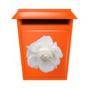 Weiße Rose Aufkleber – Elegante Blüten-Deko für Fenster & Co. (20 x 20 cm)