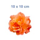 Orange Rose Aufkleber – wetterfeste Blüten-Deko für Fenster & mehr (10 x 10 cm)