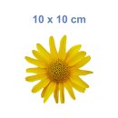 Gelbe Arnika Aufkleber – wetterfeste Blumensticker für vielseitigen Einsatz (10 x 10 cm)