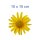 Gelbe Arnika Aufkleber – wetterfeste Blumensticker für vielseitigen Einsatz (10 x 10 cm)