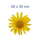 Gelbe Arnika Aufkleber – wetterfeste Blumensticker für vielseitigen Einsatz (20 x 20 cm)