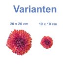 Rote Chrysantheme Aufkleber – Wetterfeste...