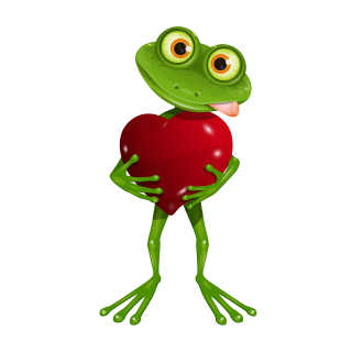 Tier Aufkleber Frosch mit Herz – wetterfester Sticker von Kleberio (16 x 30 cm)