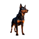 Beauceron Aufkleber Set – wetterfeste Hunde-Sticker für Auto & Co. (13 x 7 cm)