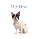 Tier Aufkleber – Französische Bulldogge, wetterfest & UV-beständig (17 x 22 cm)