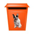 Tier Aufkleber – Französische Bulldogge, wetterfest & UV-beständig