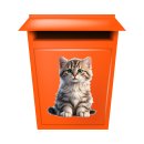 Fun Aufkleber – niedliches Katzenbaby Sticker für Auto, Fenster & mehr