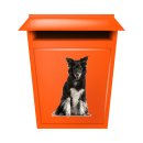 Tier Aufkleber – Border Collie Hund wetterfest & UV-beständig von Kleberio (16 x 24 cm)