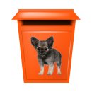 Chihuahua Tier Aufkleber – wetterfester Hunde-Sticker für Auto & Fenster