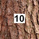 Zahlenschilder Set 1 bis 40 – wetterfeste Hausnummernschilder oder Türschilder (gelocht & Kit)